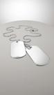 Colar Dupla Placa Militar Aço Inox 316L