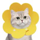 Colar Elizabetano Gato Caes Pet Cirurgia Recuperaçao Ajustavel Dobravel Confortavel Anti Lambida Mordida