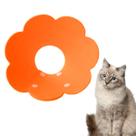Colar Elizabetano Gato Cirurgia Pet Recuperaçao Cone Ajustavel Dobravel Confortavel Colar Elizabetano Gato Cirurgia Pet Recuperaçao Cone Ajustavel Dobravel Confortavel