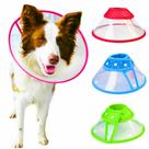 Colar elizabetano pós cirúrgico para cachorro e gato