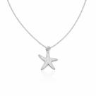 Colar Estrela do Mar Cravejado Zirconia Feminino Banhado a Prata 925 Colar Estrela do Mar Cravejado Zirconia Feminino Banhado a Prata 925