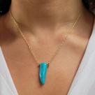 Colar Feminino Banhado a Ouro 18k Pingente Dente Azul, Estilo Boho, Country Western, Ideal para Festas, Rodeio, Cavalgada Colar Feminino Banhado a Ouro 18k Pingente Dente Azul, Estilo Boho, Country Western, Ideal para Festas, Rodeio, Cavalgada
