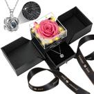 Colar Lebana Preserved Rosa com pingente de coração