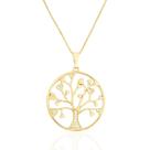 Colar Mandala Árvore da Vida Com Zircônias Banhado a Ouro Colar Mandala Árvore da Vida Com Zircônias Banhado a Ouro