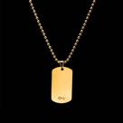 Colar masculino haring de aço dourado