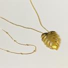 Colar MIx com Folha Costela de Adão Dourado Colar MIx com Folha Costela de Adão Dourado