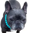 Colar para cachorro grande 53 cm com contas de silicone turquesa