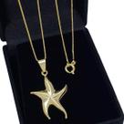 Colar Pingente Estrela Banho De Ouro 18k 4373