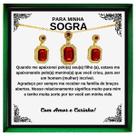 Colar Presente Aniversário Sogra Conjunto Retângulo Vermelho + Brincos + Pingente + Anel + Caixinha Dedicatória Colar Presente Aniversário Sogra Conjunto Retângulo Vermelho + Brincos + Pingente + Anel + Caixinha Dedicatória