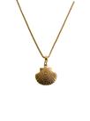 Colares Semi Joia Verniz Italiano choker Concha trabalhada