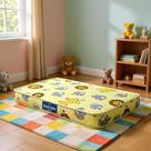 Colchão Bebê Juvenil Infantil 148 X 68 Cm Espuma D18 Colchão Bebê Juvenil Infantil 148 X 68 Cm Espuma D18