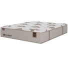 Colchão Gran Palladium Queen com Molas Lfk 34x198x158cm Sealy Cor Bege