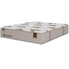 Colchão Gran Palladium Queen com Molas Lfk 34x198x158cm Sealy Cor Bege Colchão Gran Palladium Queen com Molas Lfk 34x198x158cm Sealy Cor Bege