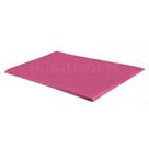 Colchonete Academia Colchão Alta Densidade Impermeável Ginástica Funcional Pilates Yoga Fitness