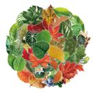 Coleção de adesivos Nature Leaf, 50 peças de decalques estéticos de PET
