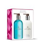 Coleção de cuidados com as mãos Molton Brown Blue Maquis 2 x 300mL