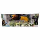 Coleção Real Animais Leão - Bee Toys Coleção Real Animais Leão - Bee Toys