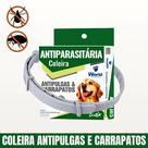 Coleira antiparasitaria