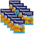 Coleira antipulgas e carrapatos vaponex coveli 64cm 20g para cães kit com 10