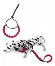 Coleira Belga Em Corda 6mm (estilo Prong Collar)+ Guia