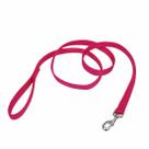 Coleira Coastal Pet de dupla camada para cães Fixação por parafuso em coleiras e arreios Coleira de náilon para passear com cães pequenos, médios e grandes Flamingo rosa 2,5 x 1,80 m