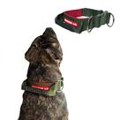 Coleira com Alça para Cães de Grande Porte - Cores Variadas