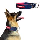 Coleira com Fecho em Nylon para Cães de Grande Porte