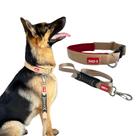 Coleira com Guia para Cachorro - Conjunto Tamanho M