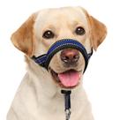 Coleira de cabeça de cachorro BARKLESS, acolchoada e macia, sem tração, azul, XL Coleira de cabeça de cachorro BARKLESS, acolchoada e macia, sem tração, azul, XL