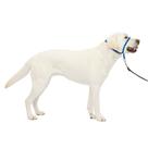 Coleira de cabeça para cães PetSafe Gentle Leader No-Pull Large Blue