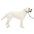 Coleira de cabeça para cães PetSafe Gentle Leader No-Pull Large Charcoal