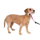 Coleira de cabeça para cães PetSafe Gentle Leader No-Pull Small Pink