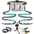 Coleira de cachorro Hands Free SHINE HAI retrátil para 2 cães preta