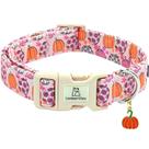 Coleira de cachorro Lionheart glory Halloween Pumpkin Floral Pink