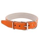 Coleira de Couro Forrada Para Cães Nº 5 - 48cm x 19mm - Pro Canine Conforto e Resistência para Cães Cor:Marrom Coleira de Couro Forrada Para Cães Nº 5 - 48cm x 19mm - Pro Canine Conforto e Resistência para Cães Cor:Marrom