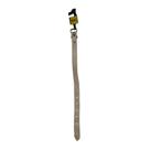 Coleira de Couro Natural Nº05 - Largura 2,5cm x Comprimento 48cm Coleira de Couro Natural Nº05 - Largura 2,5cm x Comprimento 48cm