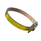 Coleira de identificação pra cachorro 42cm x 15mm