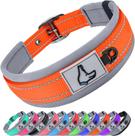 Coleira de neoprene Joytale acolchoada para cães médios, laranja Coleira de neoprene Joytale acolchoada para cães médios, laranja