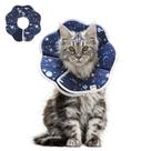 Coleira de recuperação ComSaf Soft Cat ajustável para após a cirurgia