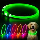 Coleira LED para cães Flashseen HiGuard USB Recarregável Verde