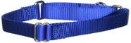 Coleira Martingale PetSafe azul royal 3/4 polegadas média