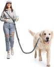 Coleira multifuncional para cães Hands Free WANFIRE cinza