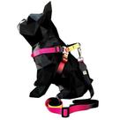 Coleira para cachorro com guia longa 2 metros para passeio modelo peitoral