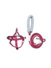 Coleira para Cachorro, Guia Peitoral Ajustável, Pet, Reforçada, Estilo, Raças Pequenas e Médias Coleira para Cachorro, Guia Peitoral Ajustável, Pet, Reforçada, Estilo, Raças Pequenas e Médias