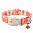 Coleira para cães Aing Pet M Autumn Pumpkin Plaid 2,5 cm