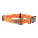 Coleira para cães Carhartt totalmente ajustável Nylon Webbing Medium