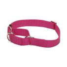 Coleira para cães Coastal Martingale ajustável rosa Flamingo 2 cm 36-51cm
