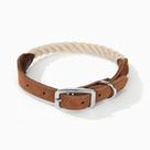 Coleira para cães Mile High Life, corda de algodão trançada durável, bege