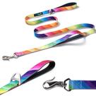 Coleira para cães PawPawify Heavy Duty Long Nylon com 2 alças acolchoadas Coleira para cães PawPawify Heavy Duty Long Nylon com 2 alças acolchoadas