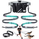 Coleira para cães sem mãos SHINE HAI Retrátil Dupla Bungees para 2 cães